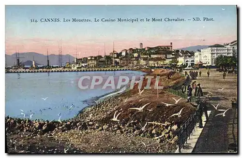 Cartes postales Cannes Les Mouettes Le Casino Municipal et le Mont Chevalier