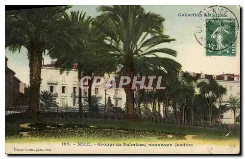 Cartes postales Nice Groupe de Palmiers nouveaux Jardins