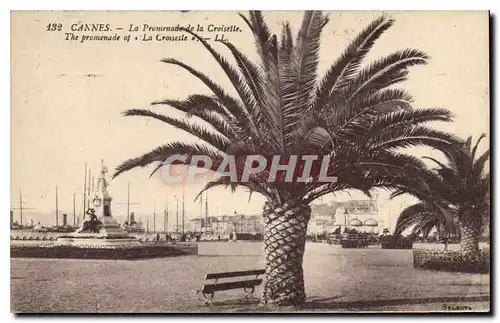 Cartes postales Cannes La Promenade de la Croisette