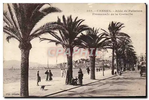 Cartes postales Cannes Allee de Plamiers Promenade de la Croisette