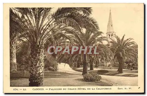 Cartes postales Cannes Palmiers du Grand Hotel de la Californie