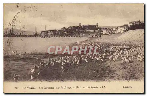 Ansichtskarte AK Cannes Les Mouettes sur la Plage