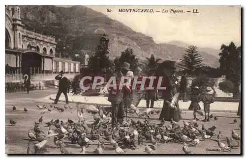 Cartes postales Monte Carlo Les Pigeons