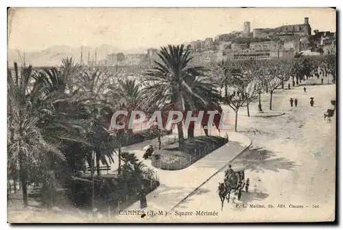 Cartes postales Cannes A M Square Merimee