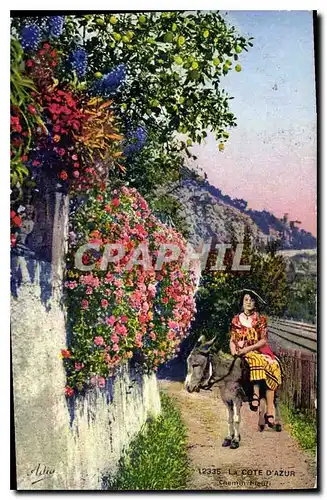 Cartes postales La Cote d'Azur Chemin Fleuri Ane Mule