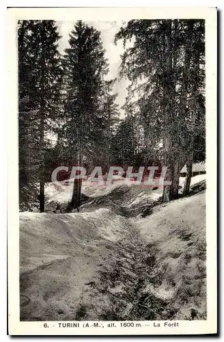 Cartes postales Turini A M La Foreit