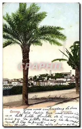 Cartes postales Cannes Croisette