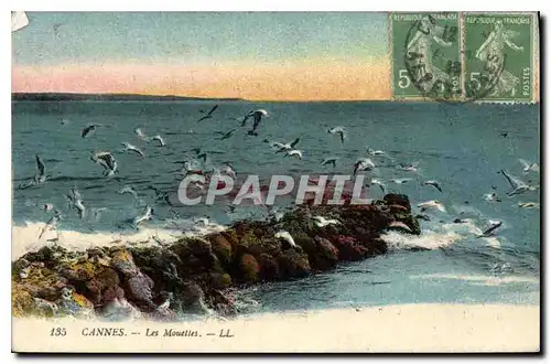 Cartes postales Cannes Les Mouelles