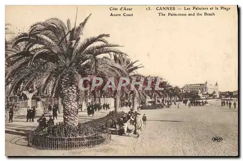 Cartes postales Cote d'Azur Cannes Les Palmiers et la Plage