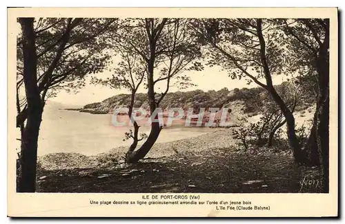 Cartes postales Ile de Port Cros Var Une plage dessine sa ligne gracieusement arrondie sur l'oree d'un jeune boi