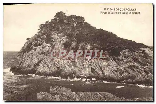 Cartes postales Ile de Parquerolles Promontoire du Breganconnet