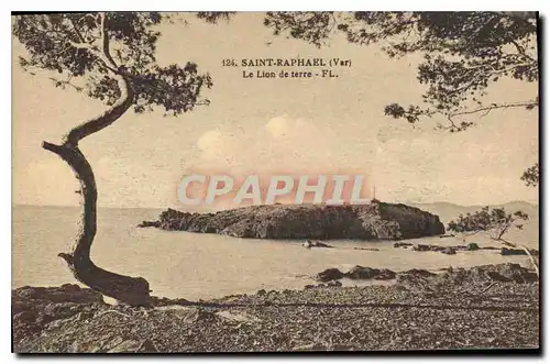 Cartes postales Saint Raphael Var Le Lion de terre