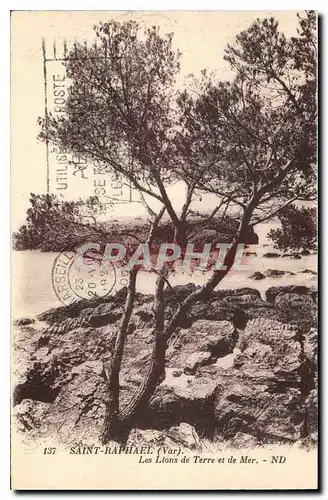 Cartes postales Saint Raphael Var Les Lions de Terre et de Mer