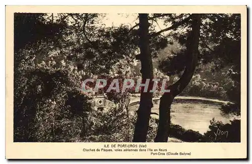 Cartes postales Ile de Port Cros Var Cloches de Paques voies aeriennes dans l'Ile en fleurs Port Cros Claude Bal