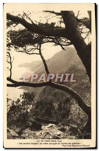 Cartes postales Ile de Port Cros Var Ses sentiers longeant les cretes nauvages ou nichent les goelands Port Cros