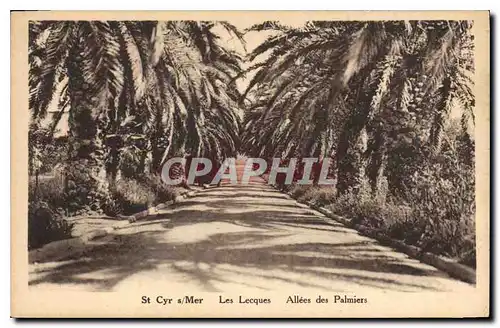 Cartes postales St Cyr Mer Les Lecques Allees des Palmiers