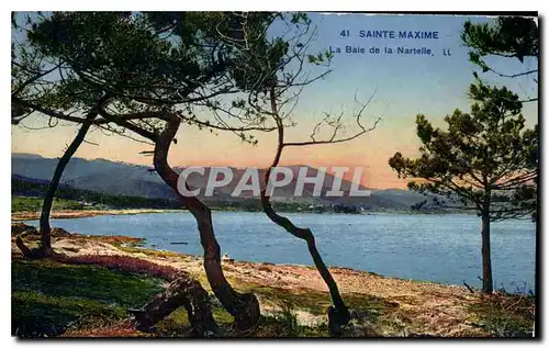 Cartes postales Sainte Maxime La Baie de la Nartelle