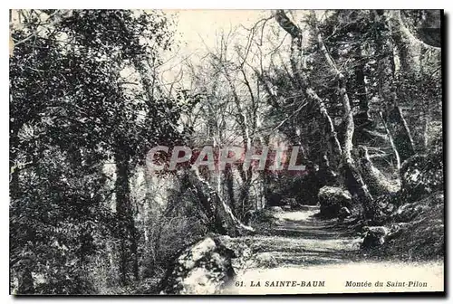 Cartes postales La Sainte Baume Montee du Saint Pilon