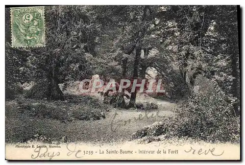 Cartes postales La Sainte Baume Interieur de la Foret