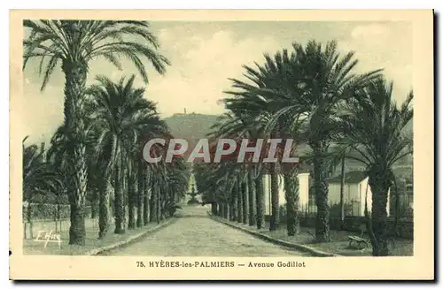 Ansichtskarte AK Hyeres les Palmiers Avenue Godillot