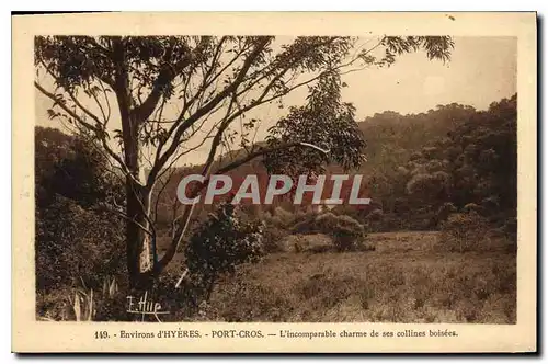 Cartes postales Envrions d'Hyeres Port Cros l'incomparable charme de ses collines boisees