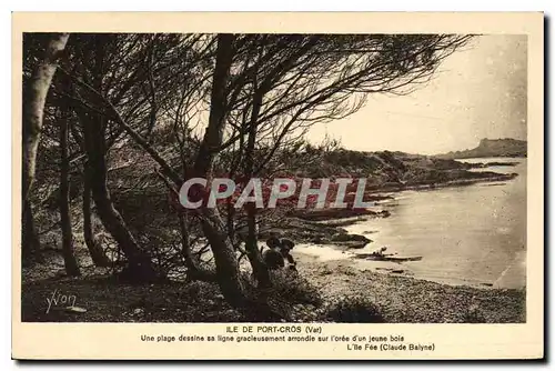 Ansichtskarte AK Ile de Port Cros Var Une plage dessine sa ligne gracieusement arrondie sur l'oree d'un jeune boi