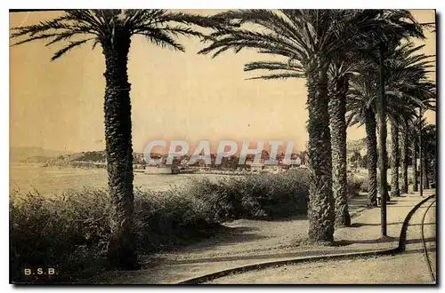 Cartes postales Toulon Mourillon Boulevard du Littoral Les Palmiers