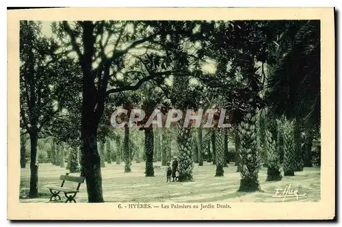 Cartes postales Hyeres Les Palmiers au Jardin Denis