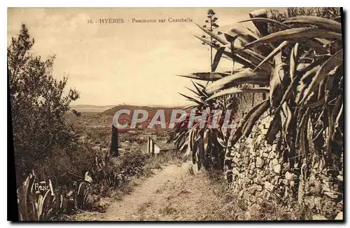 Cartes postales Hyeres Panorama sur Costebelle