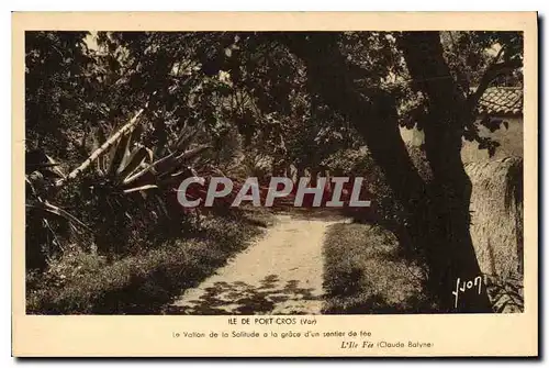 Cartes postales Ile de port Cros Var Le Vallon de la Salitude a la grace d'un sentier de fee l'Ile Fee Claude Ba