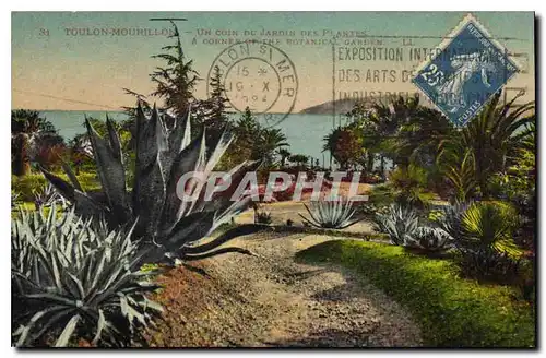 Cartes postales Toulon Mourillon Un coin du Jardin des Plantes