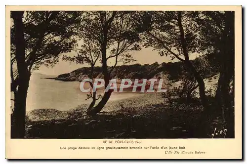 Cartes postales Ile de Port Cros Var Une plage dessiner sa ligne gracieusement arrondie sur l'oree d'un jeune bo