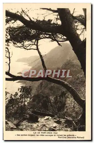 Cartes postales Ile de Port Cros Var Marceline Richard