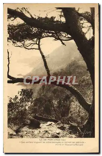 Cartes postales Ile de Port Cros Var Bateaux quolidiens par les Salins d'Hyeres Gare et Correspondance P L M