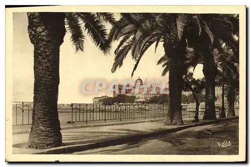 Cartes postales Saint Raphael Les plamiers du boulevard Felix Martin