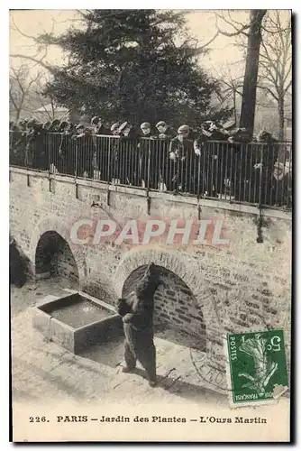 Ansichtskarte AK Paris Jardin des Plantes L'Ours Martin