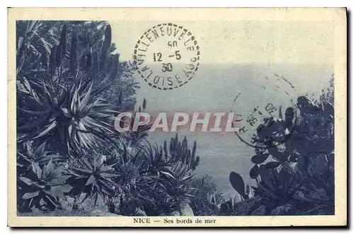 Cartes postales Nice Ses bords de mer