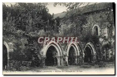 Ansichtskarte AK Saint Leonard Ruines de l'Abbaye de l'Artige