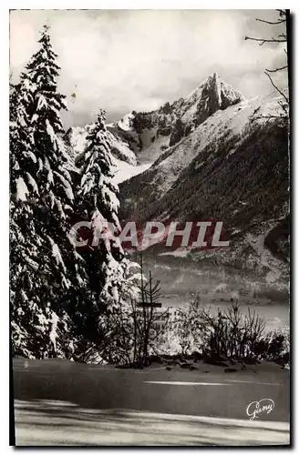 Cartes postales Chamonix Mont Blanc Hte Savoie L'Aiguille du Dru