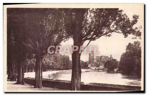 Ansichtskarte AK Meaux Promenade des Trinitaires Vue sur la Marne et la Cathedrale