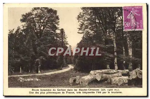 Cartes postales Route forestiere du Gerbier dans les Hautes Cevennes