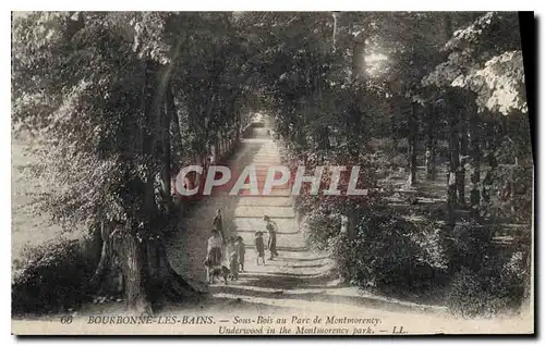 Cartes postales Bourbonne les Bains Sous Bois au Parc de Montmorency
