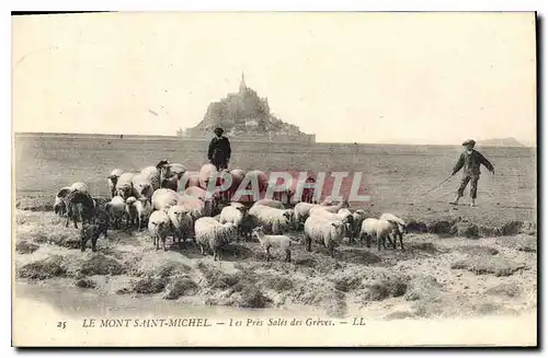 Ansichtskarte AK Le Mont Saint Michel Les Pres Sales des Greves Berger Moutons