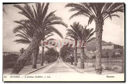 Cartes postales Hyeres L'Avenue Godillot