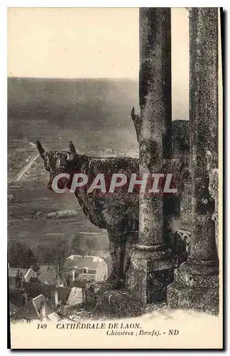 Cartes postales Cathedrale de Laon Chimeres Boeufs