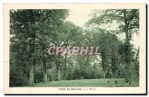 Cartes postales Foret de Desvres Le Pilbois