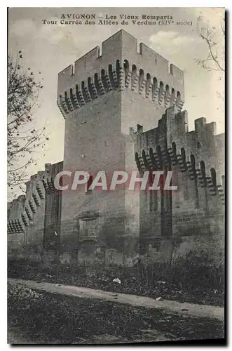 Cartes postales Avignon Les Vieux Remparts Tour Carree des Allees de Verdun