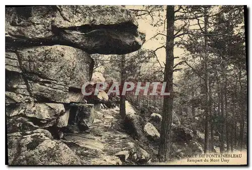 Ansichtskarte AK Foret de Fontainebleau Rempart du Mont Ussy