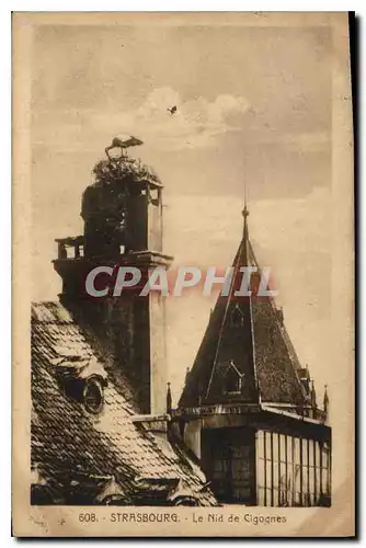 Cartes postales Strasbourg Le Nid de Cigognes