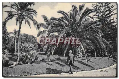 Cartes postales Monaco Jardin